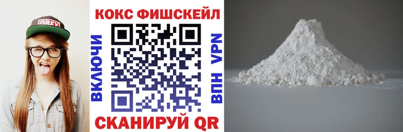 Кокаин FishScale  shop какой сайт  Лесозаводск  даркнет сайт 