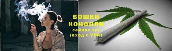 молекула духа Аркадак