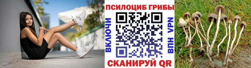 Галлюциногенные грибы MAGIC MUSHROOMS  наркотики  Лесозаводск 